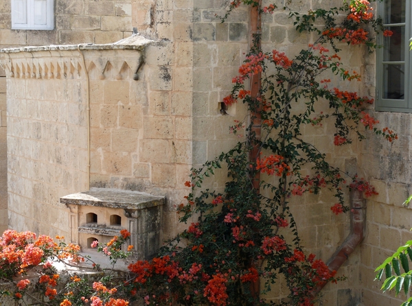 Mdina-027
