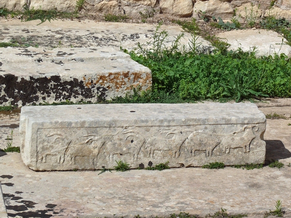 Paola Tarxien Temples-013