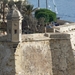 Senglea-002