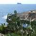 Zurrieq Blue Grotto-010