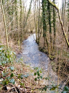 2015_03_01 Laneffe 79
