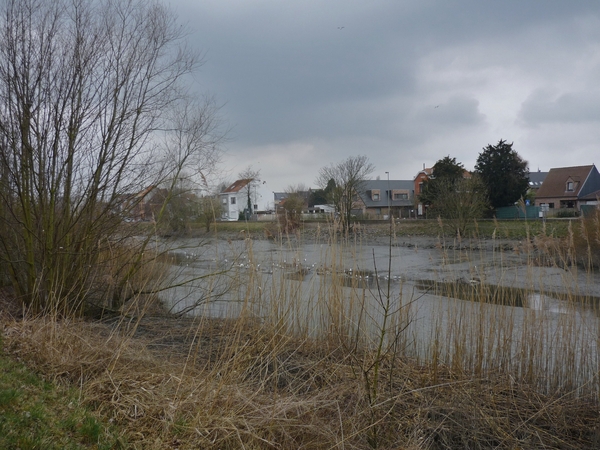 150315 GENTBRUGGE DE SCHELDE