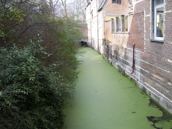 Wandeling van Noord naar Zuid - 5 maart 2015