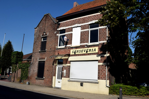 Sanseveria-Veldstraat-Roeselare