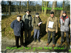 Met een streepje zon