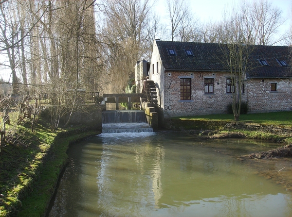 Herne Maart 2015 005