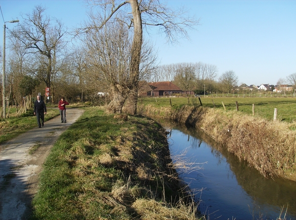 Herne Maart 2015 006