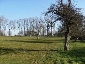 Herne Maart 2015 012