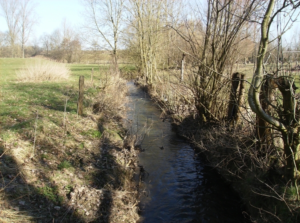 Herne Maart 2015 014