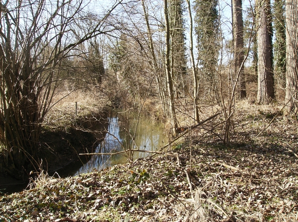 Herne Maart 2015 015