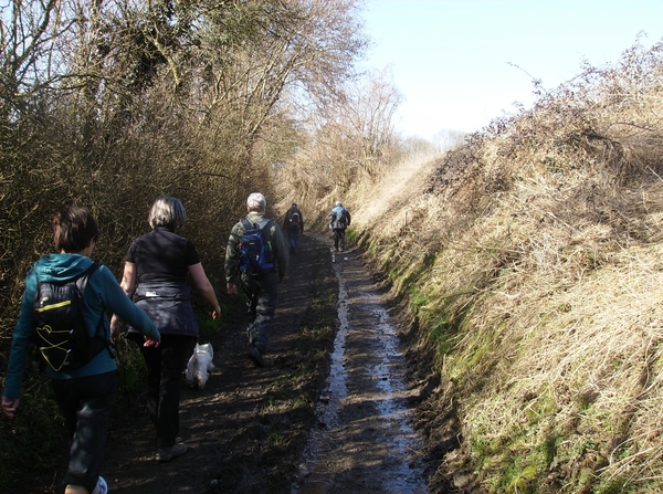 Herne Maart 2015 021