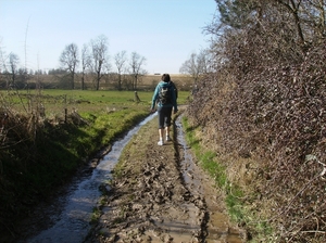 Herne Maart 2015 023