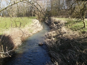 Herne Maart 2015 027