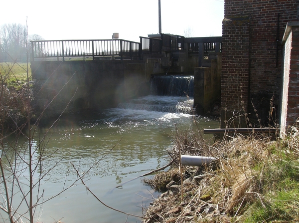 Herne Maart 2015 028