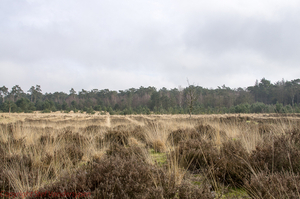 20150311-IMGP7669