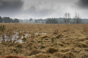 20150311-IMGP7664