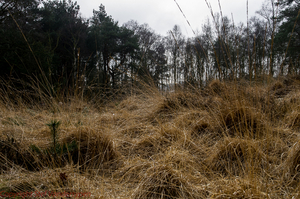 20150311-IMGP7663