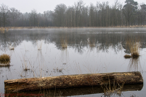 20150311-IMGP7657