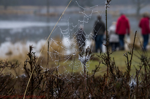 20150311-IMGP7655