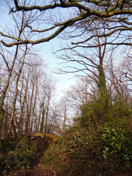 009-Vertrek voor lus van 3 km.van de 7km..