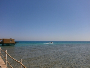 P3060026
