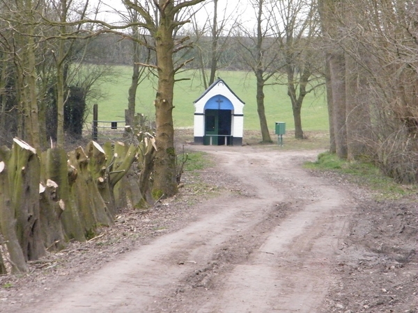 aktivia wandeling denderhoutem