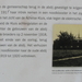 P4050006