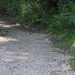 P7010008