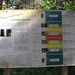 P7010019