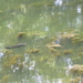 P7060008
