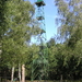 P8030002