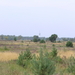 P8120007