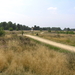 P8120008