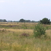 P8120009