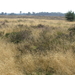 P8120010