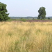 P8120011