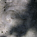 P8120018