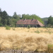 P8130002