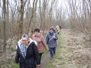 Wandeling in Katelijne - 19 maart 2015