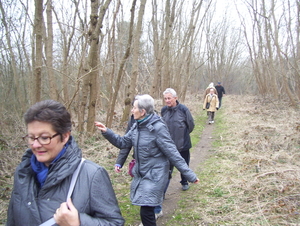 Wandeling in Katelijne - 19 maart 2015