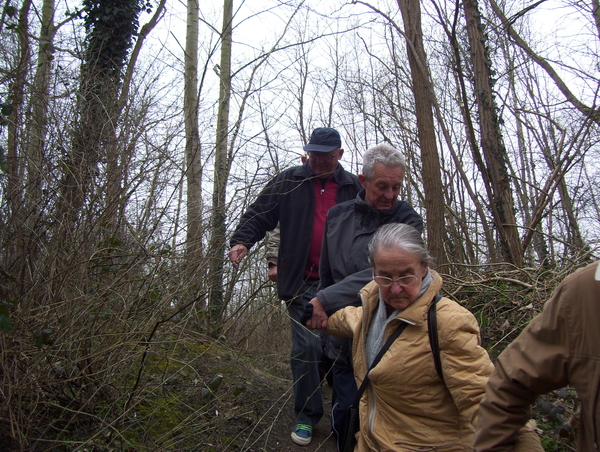 Wandeling in Katelijne - 19 maart 2015