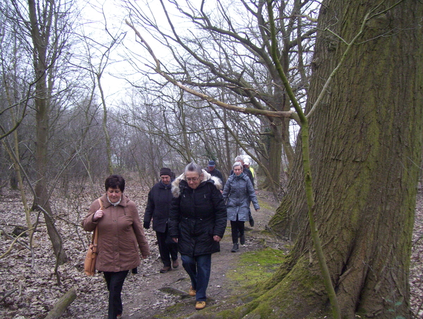 Wandeling in Katelijne - 19 maart 2015