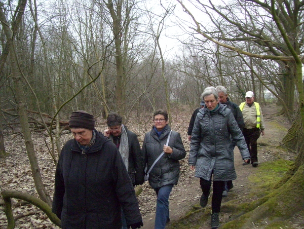 Wandeling in Katelijne - 19 maart 2015