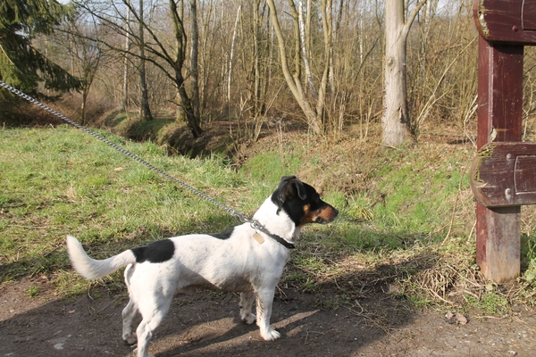 Winterwandeling Blok 9 22 februari 2015 033