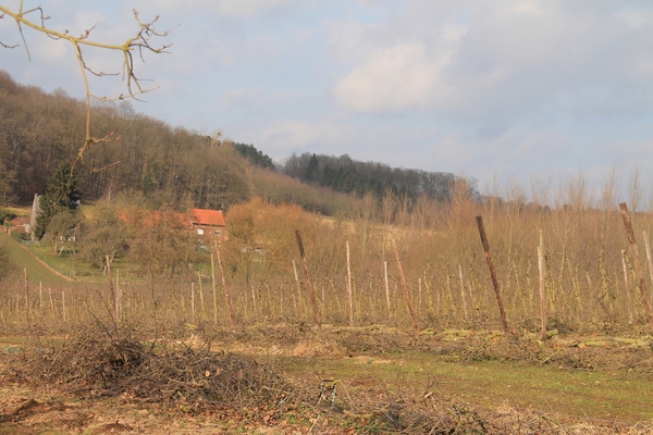 Winterwandeling Blok 9 22 februari 2015 049