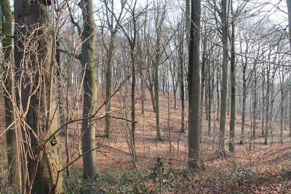 Winterwandeling Blok 9 22 februari 2015 065