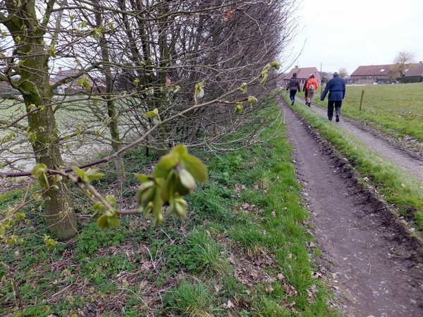 11-de lente komt eraan !