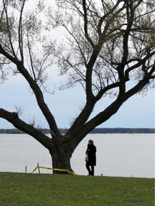 20111029 115356 Lysenko Canada