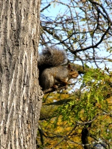 20111031 114102 Lysenko Canada