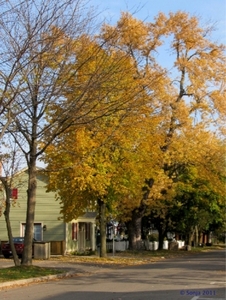 20111031 115155 Lysenko Canada